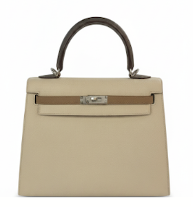Hermès Hermes Kelly 25